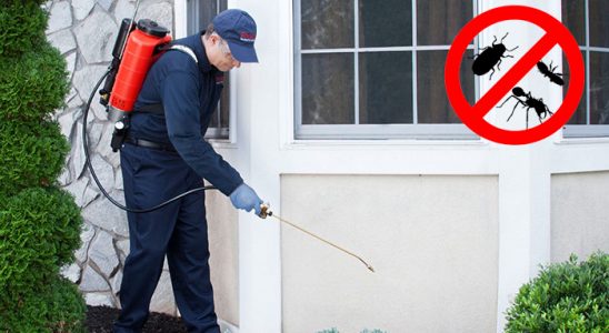 Olur Böcek İlaçlama böcek ilaçlama ve haşere kontrolü — ilaclama-tr.com